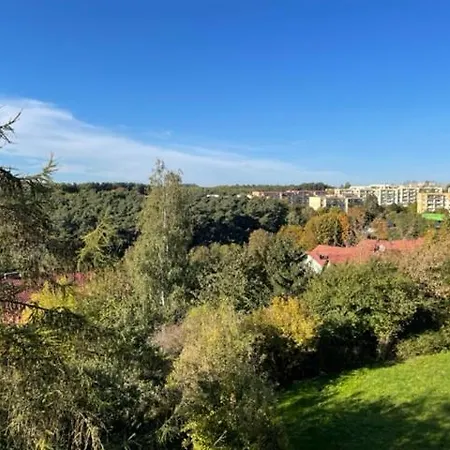 ホームステイ View