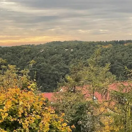ホームステイ View *